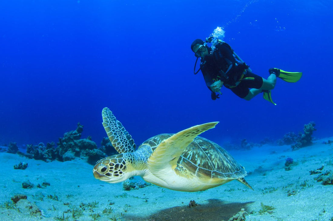 Scuba Diving for Non-Swimmers in Phuket: Myths, Safety, and Your 2026 Guide