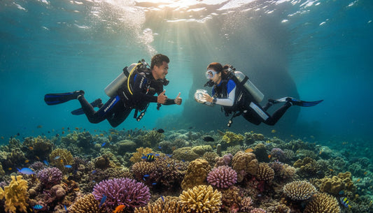 What to Expect on Your Open Water Course: The 2026 Guide to Scuba Certification