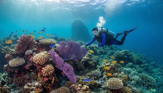 Nitrox Diving Benefits: Why Enriched Air is a Game-Changer for Divers