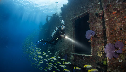 Scuba Specialty Courses Phuket: How to Choose Your Next Level of Training