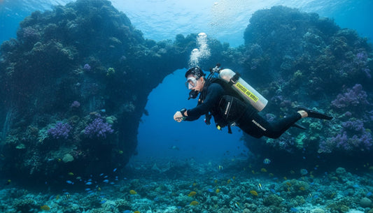 Nitrox vs Air: Professional Diving Comparison for 2026