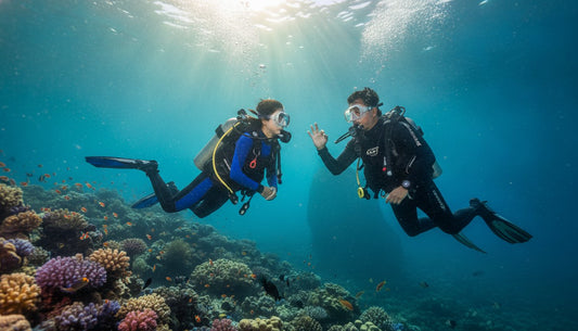Why Choose Scubaeep for Your Next Diving Adventure